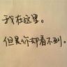 怀孕母马坠深坑救出发现是自家的